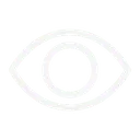 Vision